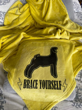 Load image into Gallery viewer, Brace Yourself Blanket
