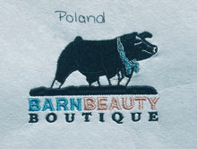 Load image into Gallery viewer, Barn Beauty Boutique Poland Windbreaker
