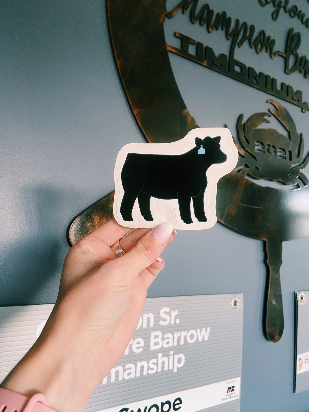 Black Heifer Sticker
