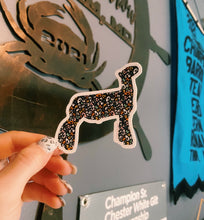 Load image into Gallery viewer, Multi Colored Cheetah Print Stickers
