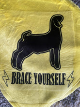 Load image into Gallery viewer, Brace Yourself Blanket
