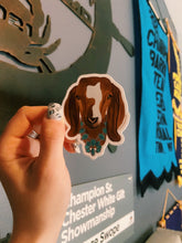 Load image into Gallery viewer, Turquoise Necklace Livestock Stickers
