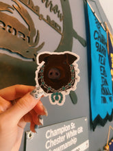 Load image into Gallery viewer, Turquoise Necklace Livestock Stickers
