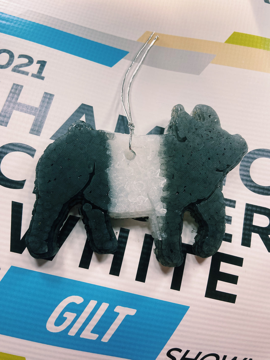 Hamp/Cross Pig Freshie