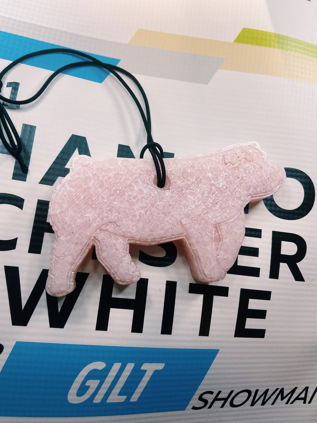 Chester/Landrace Pig Freshie